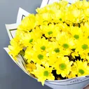 Монобукет из 15 желтых Хризантем в белом крафте