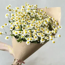 Букет «Комплимент из ромашек» из ромашек