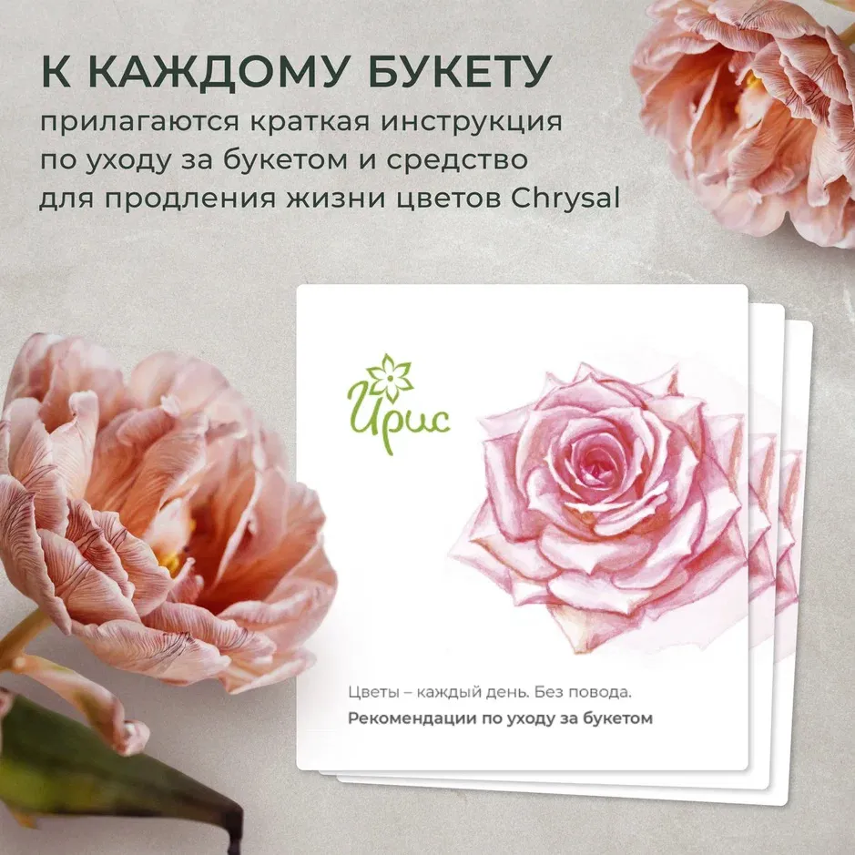 Монобукет из 15 желтых Хризантем в белом крафте-3