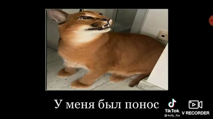 шлёпа. Мама зачем ты подорвала огурец