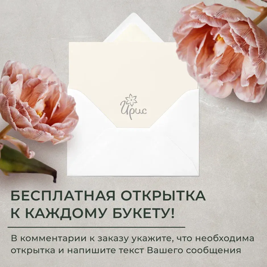 Монобукет из 15 желтых Хризантем в белом крафте-2