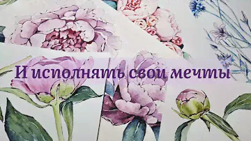 Пионы