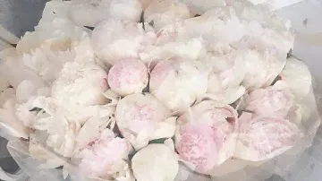 Красивое поздравление с Днем рождения!