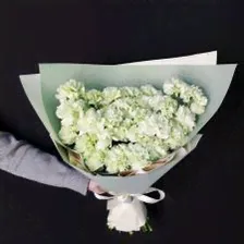 Букет из зеленых гвоздик 480
