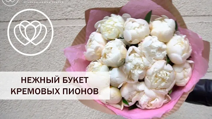 Букет из 15  кремовых пионов
